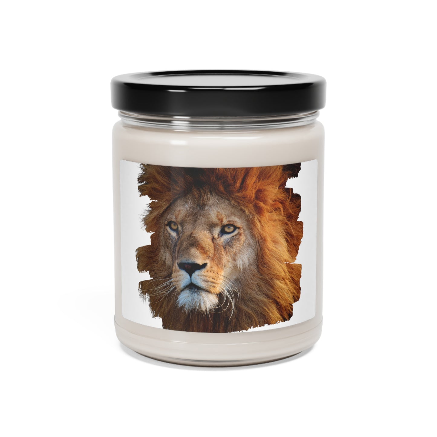 Scented Soy Candle, 9oz